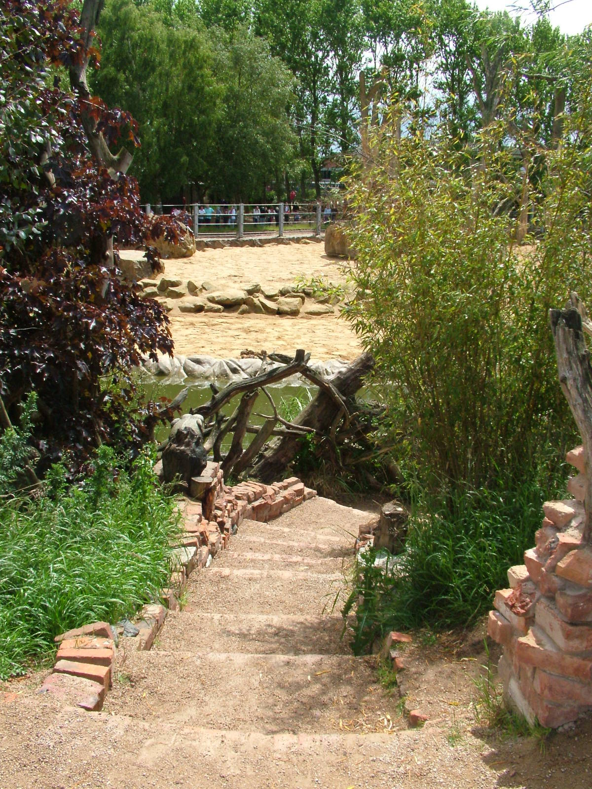 Uda Walawe at Twycross, 18/06/11