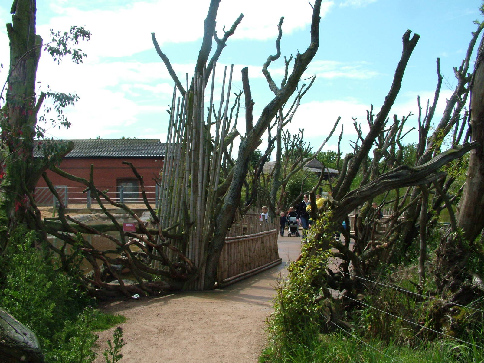 Uda Walawe at Twycross, 18/06/11
