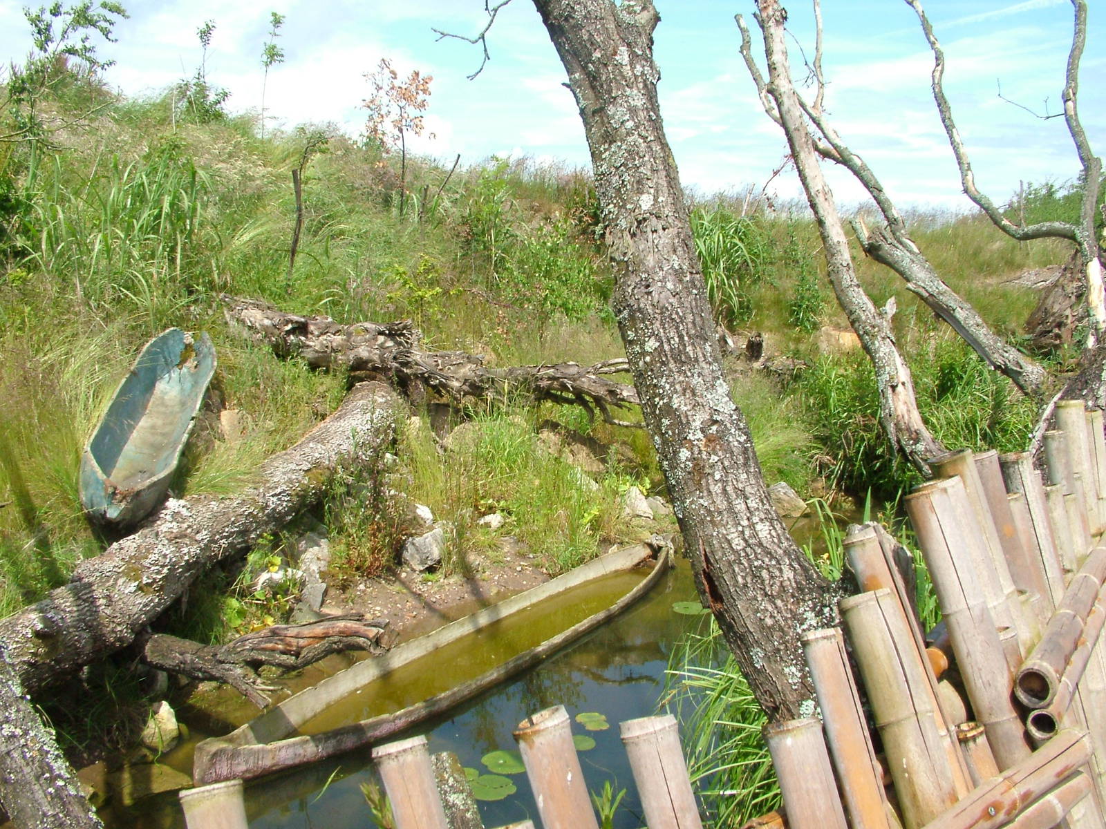 Uda Walawe at Twycross, 18/06/11