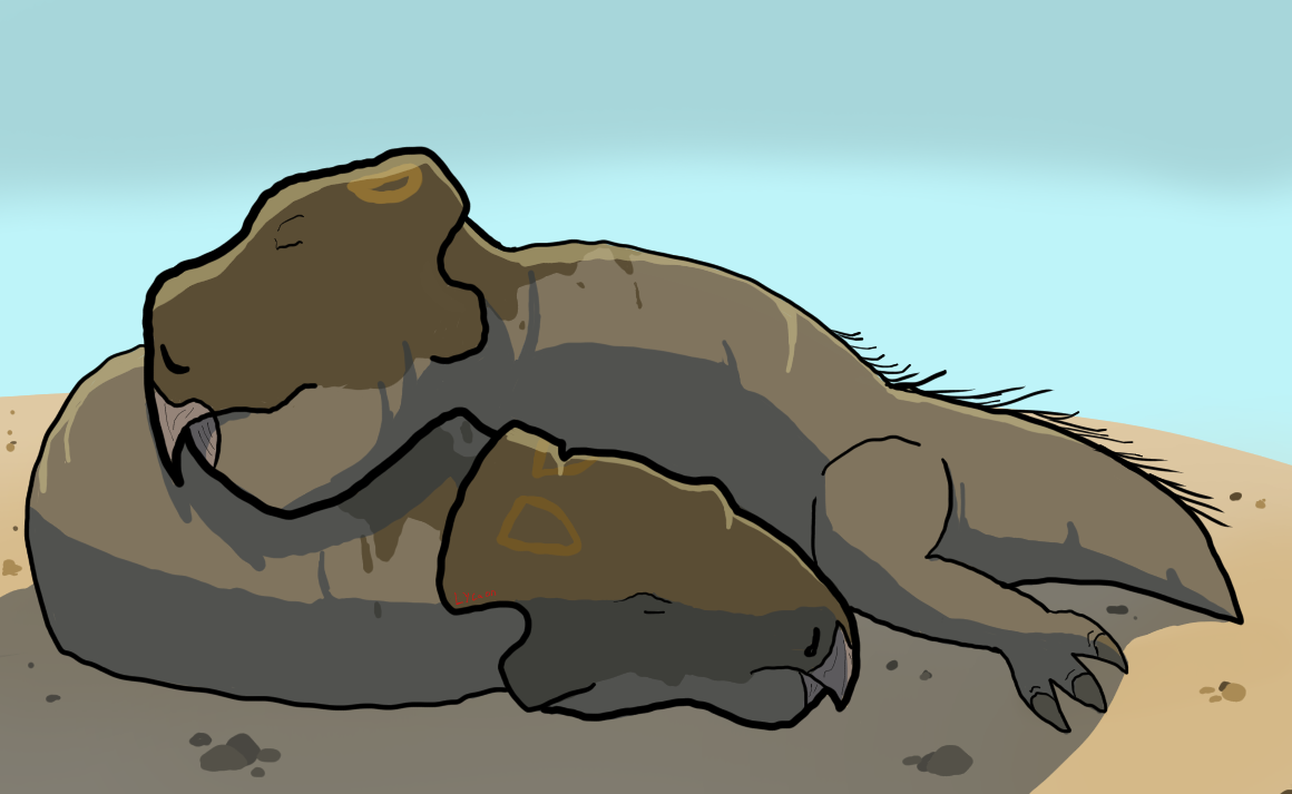 Udanoceratops tschizhovi