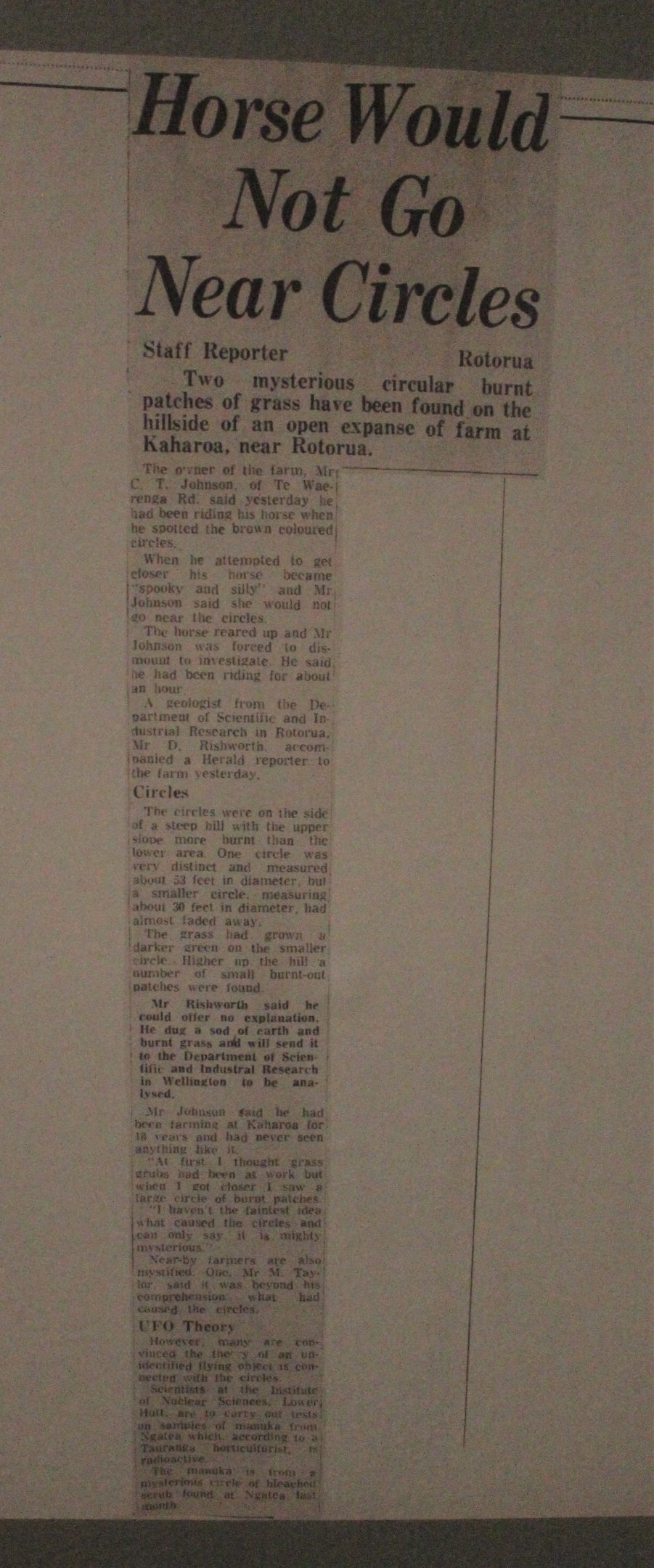 UFO story about a horse, The Dowse Art Museum