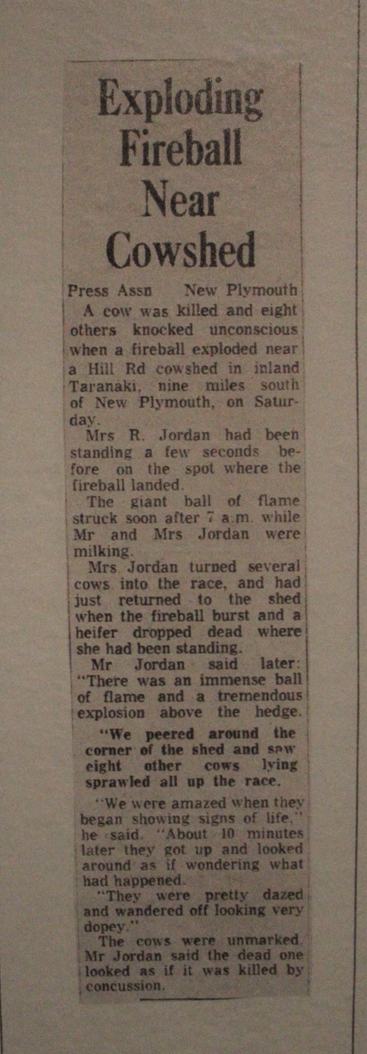 UFO story about cattle, The Dowse Art Museum