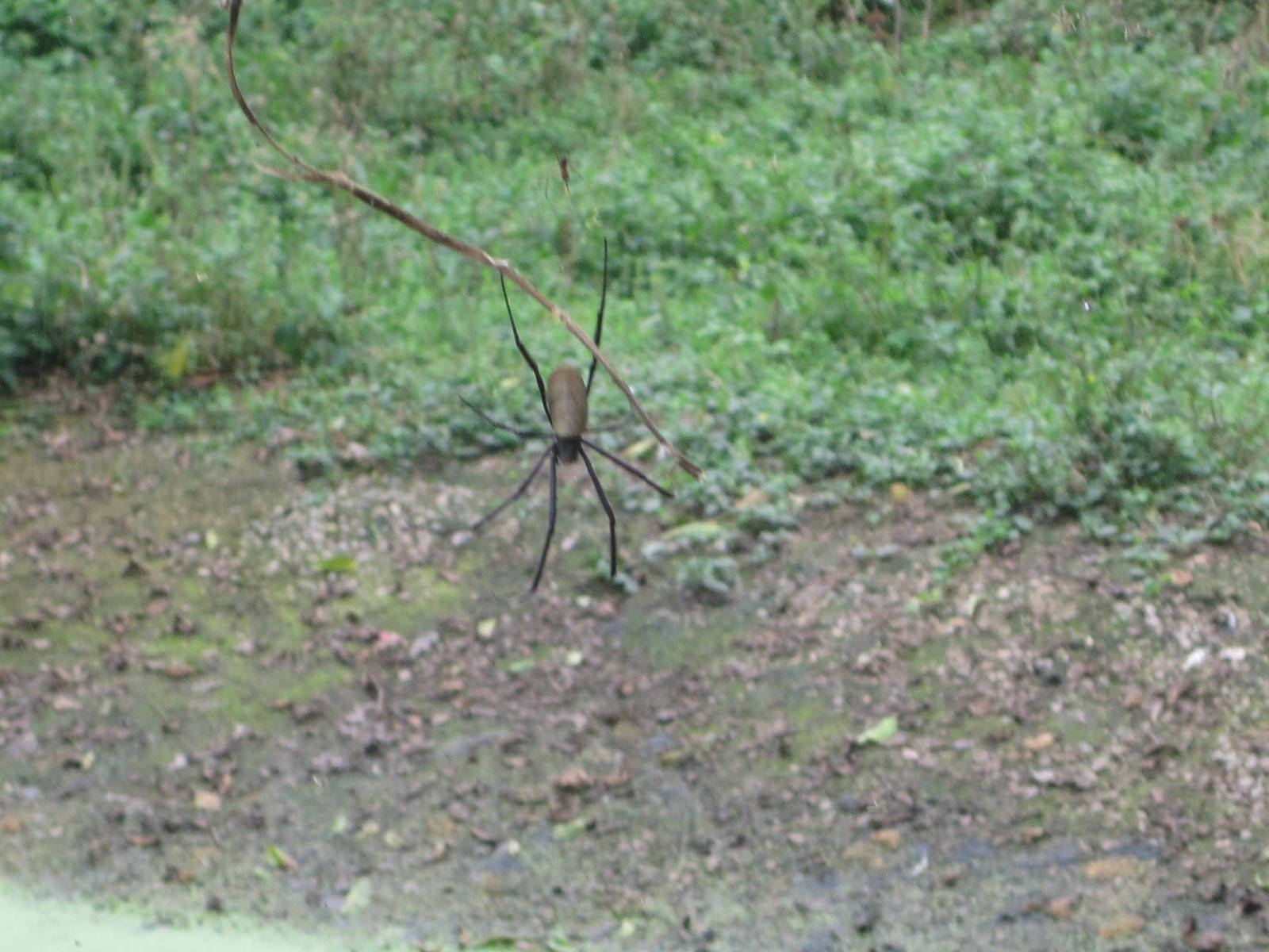 Uganda Wildlife Education Centre August 2011