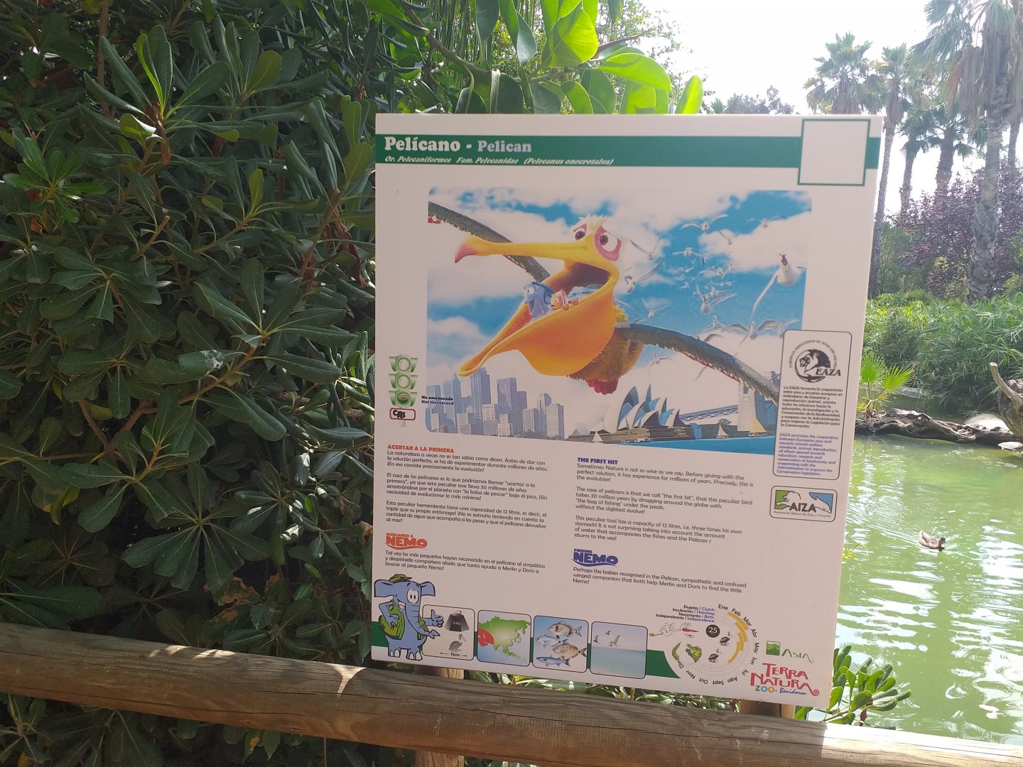 Ugh... -TerraNatura Benidorm (2021)