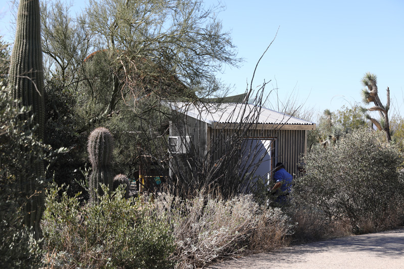 ugly new ticket shed