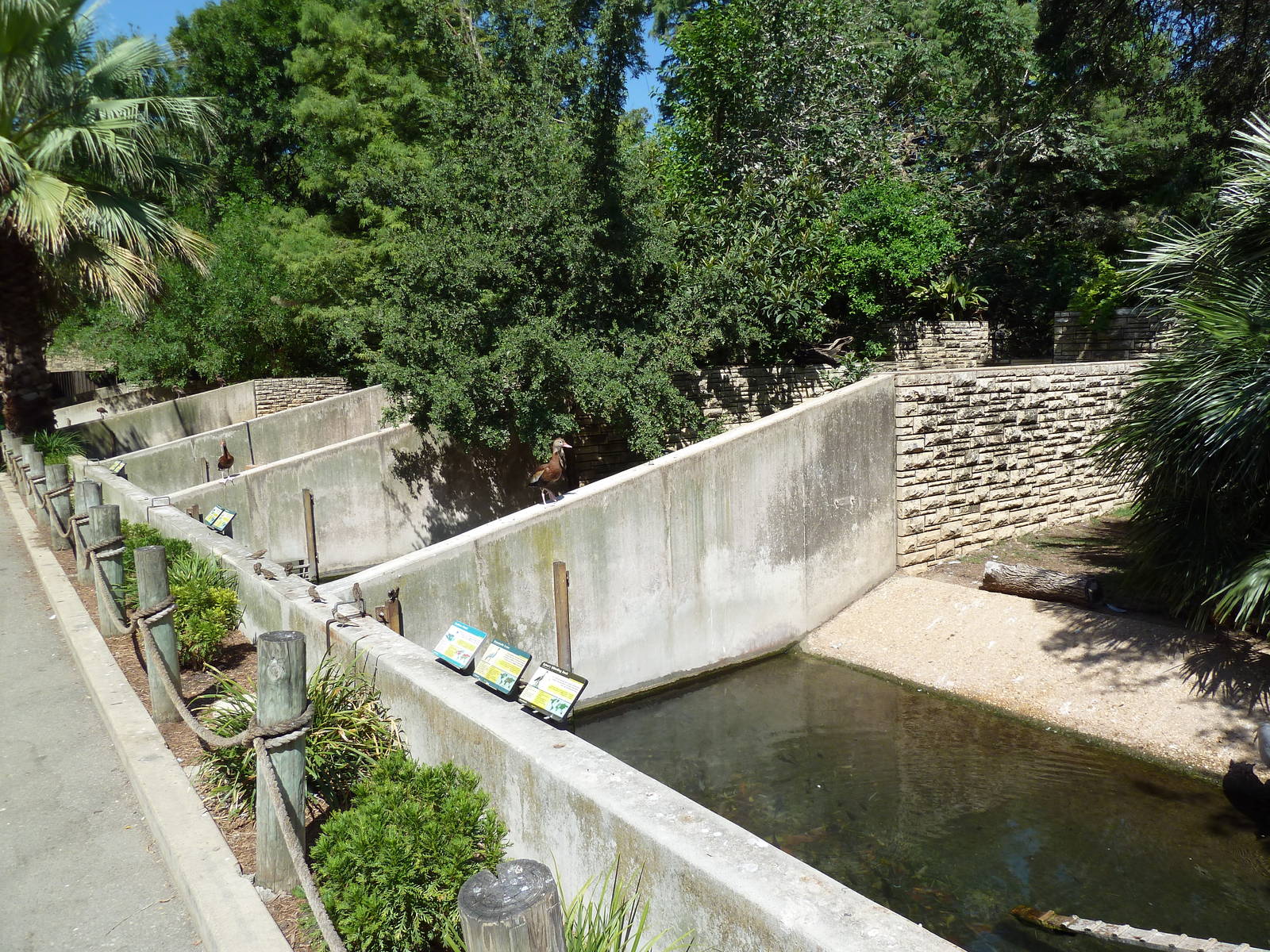 Ugly Waterfowl Ponds