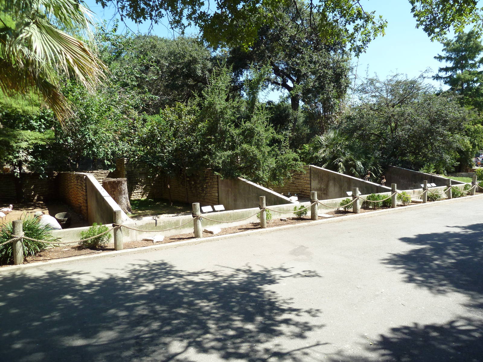 Ugly Waterfowl Ponds