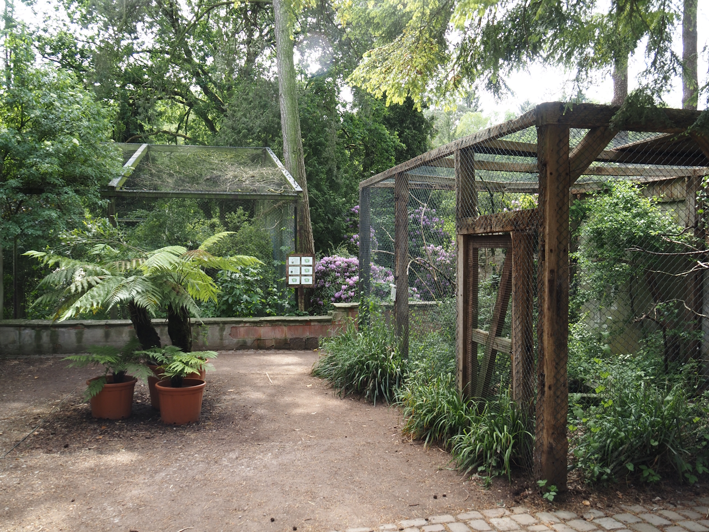 Uhu-Burg - Barn owl aviary and African storks aviary, 2024-05-21