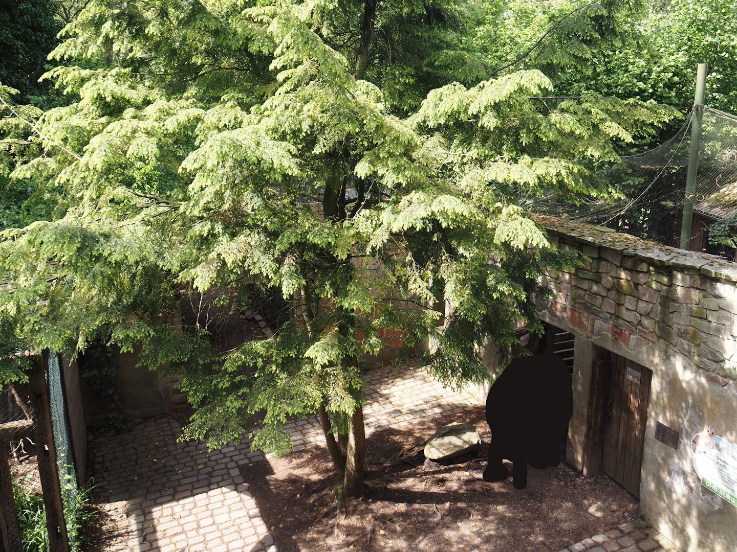Uhu-Burg - Entrance to walk-through aviary seen from upper level, 2024-05-21