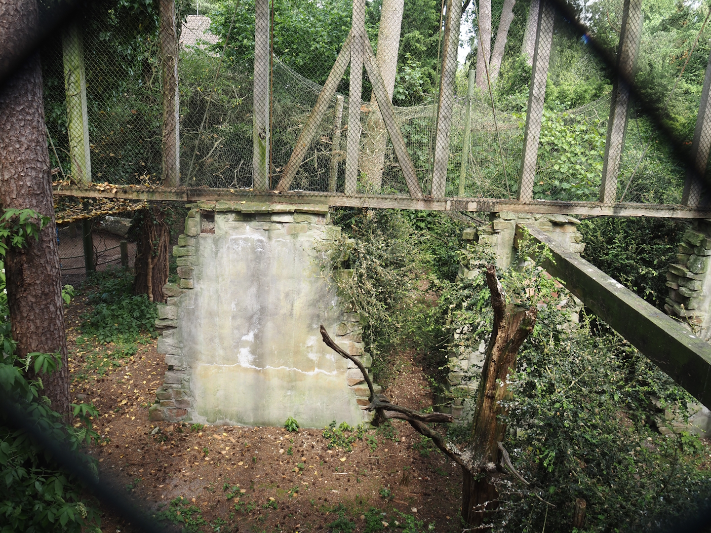Uhu-Burg - Eurasian eagle-owl, Steppe eagle and Raven aviary, 2024-05-21