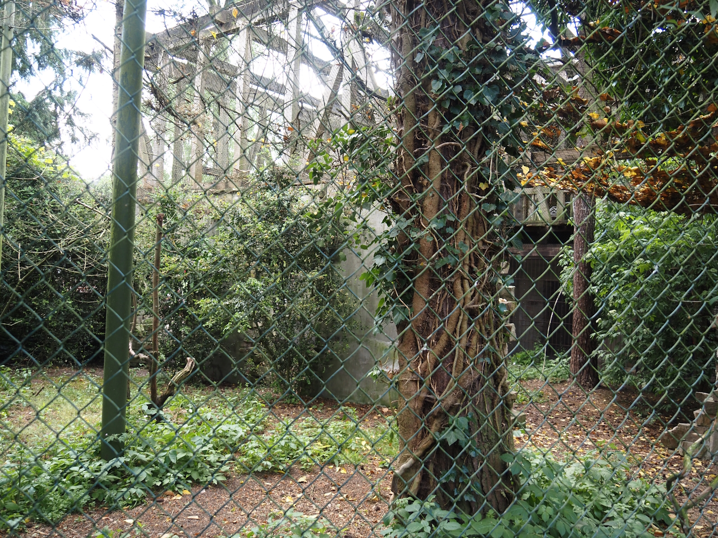 Uhu-Burg - Eurasian eagle-owl, Steppe eagle and Raven aviary seen from walk-through aviary, 2024-05-21