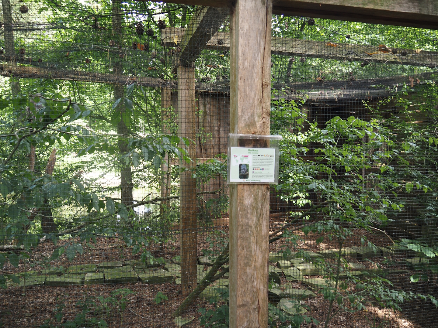 Uhu-Burg - Eurasian great grey owl aviary, 2024-05-21