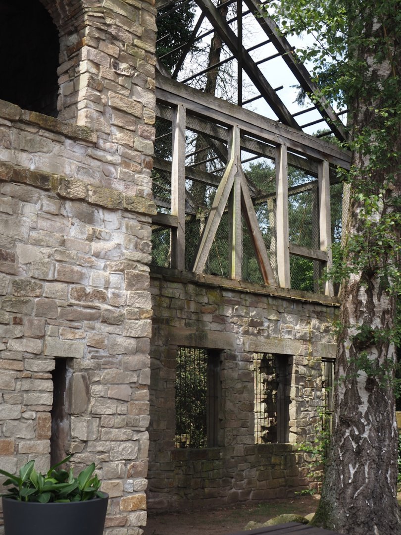 Uhu-Burg - Exterior of Eurasian eagle-owl, Steppe eagle and Raven aviary, 2024-05-21