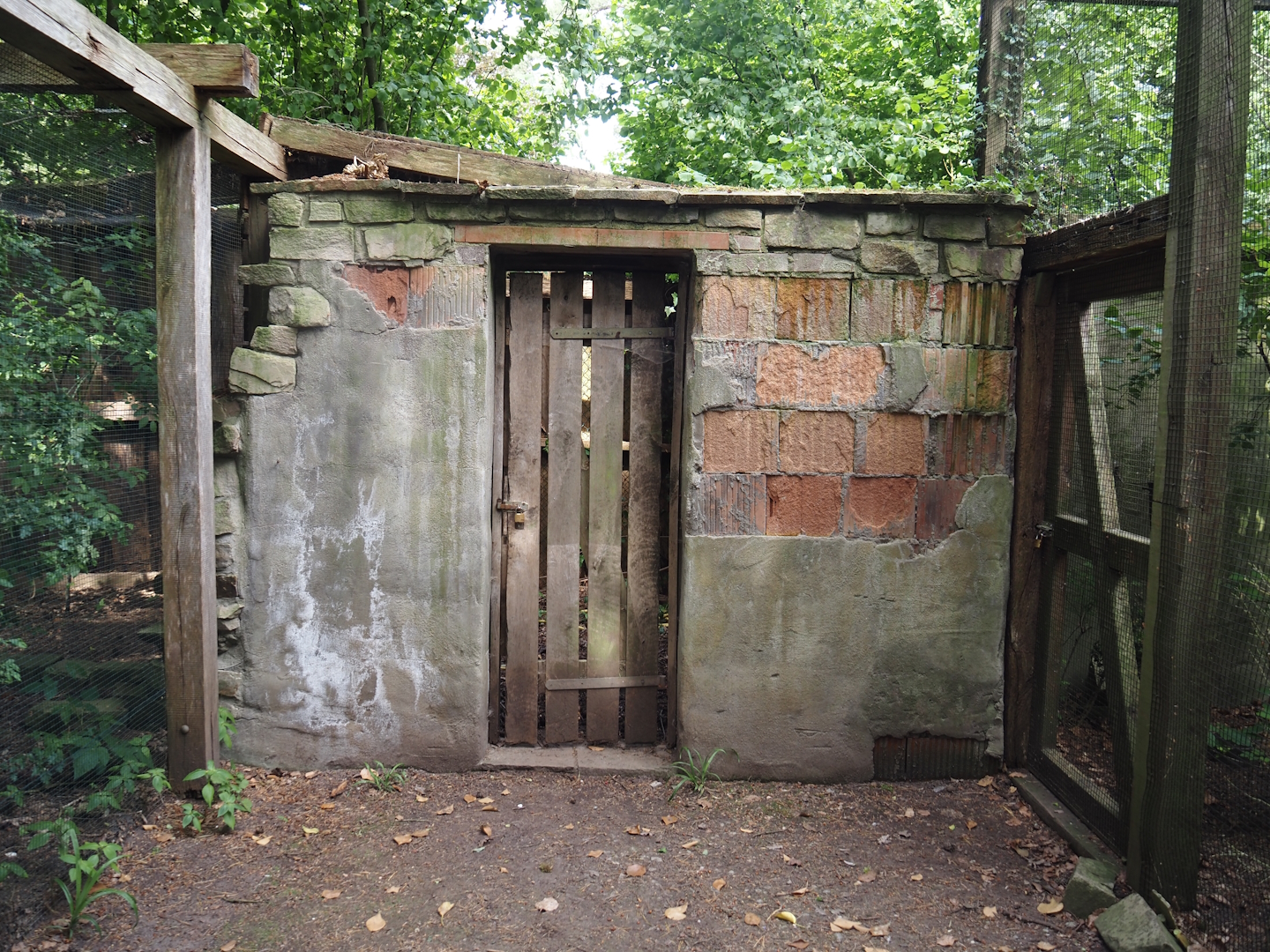 Uhu-Burg - Off-show area between owl aviaries, 2024-05-21