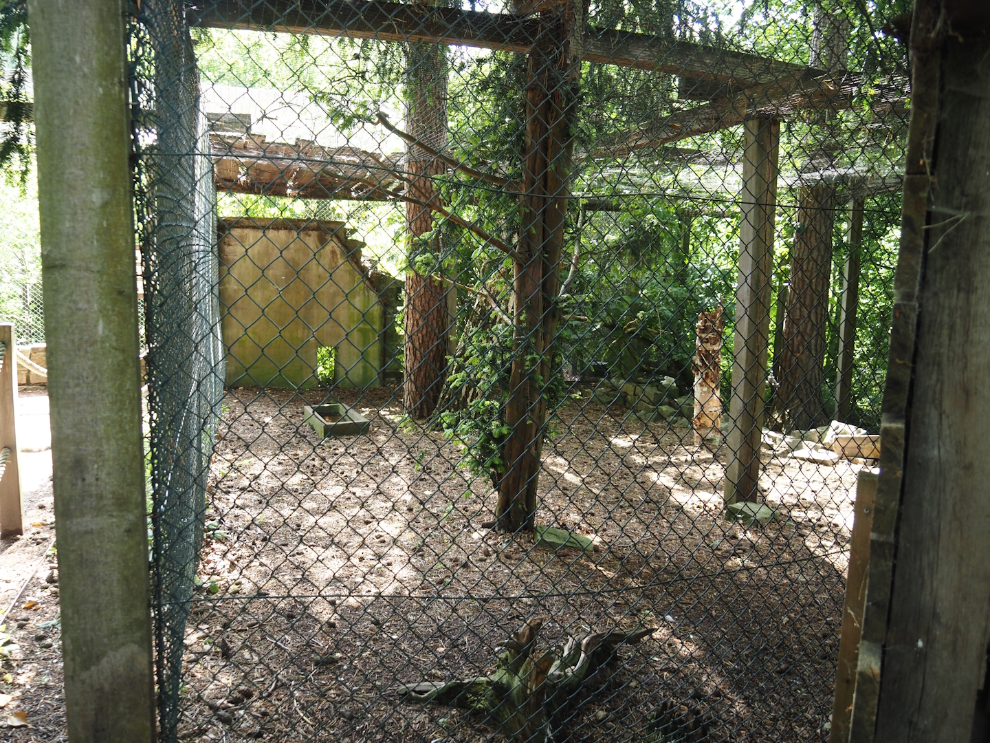 Uhu-Burg - Snowy owl aviary, 2024-05-23