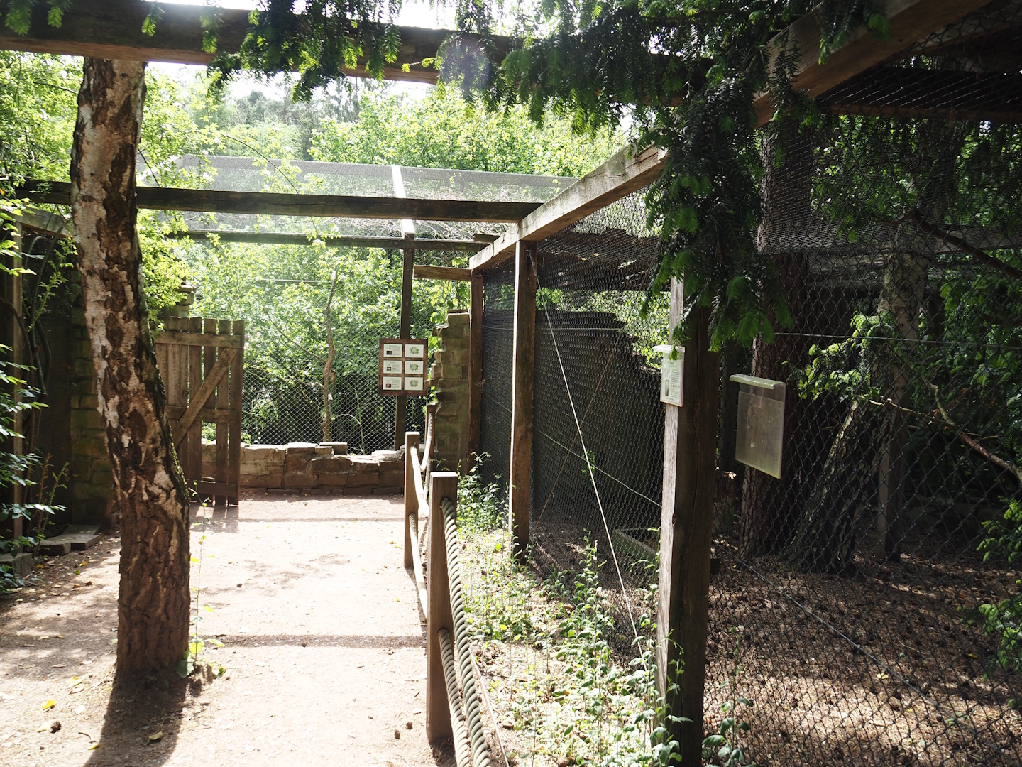 Uhu-Burg - Snowy owl aviary and Second African wetland aviary viewing areas, 2024-05-21