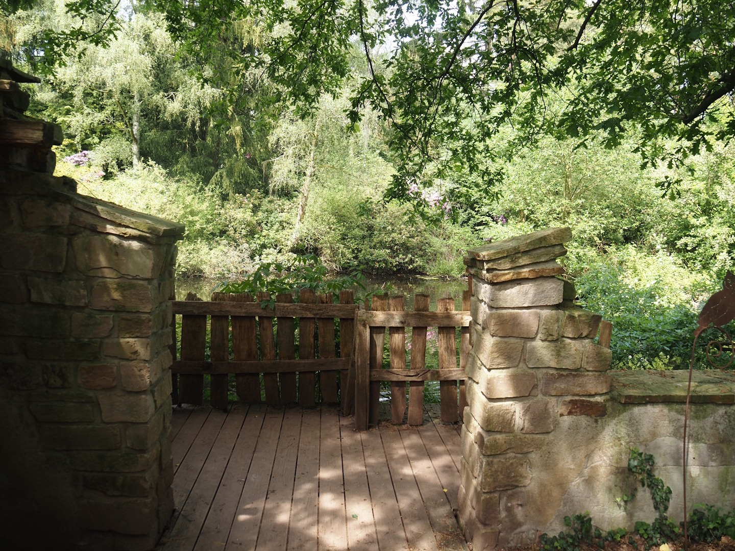 Uhu-Burg - Viewing platform for forest lake, 2024-05-21