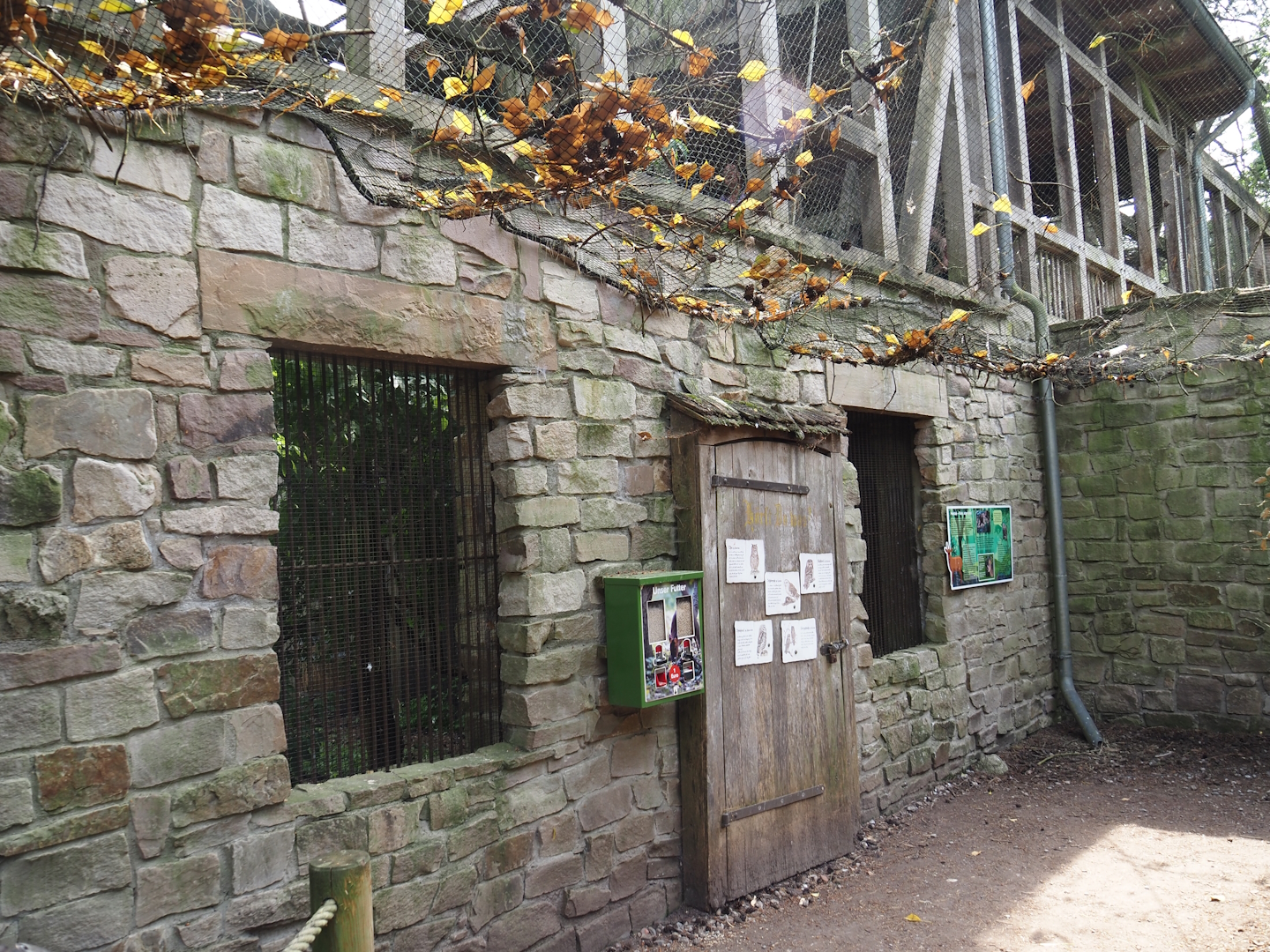 Uhu-Burg - Viewing windows into Eurasian eagle-owl, Steppe eagle and Raven aviary from walk-through aviary, 2024-05-21