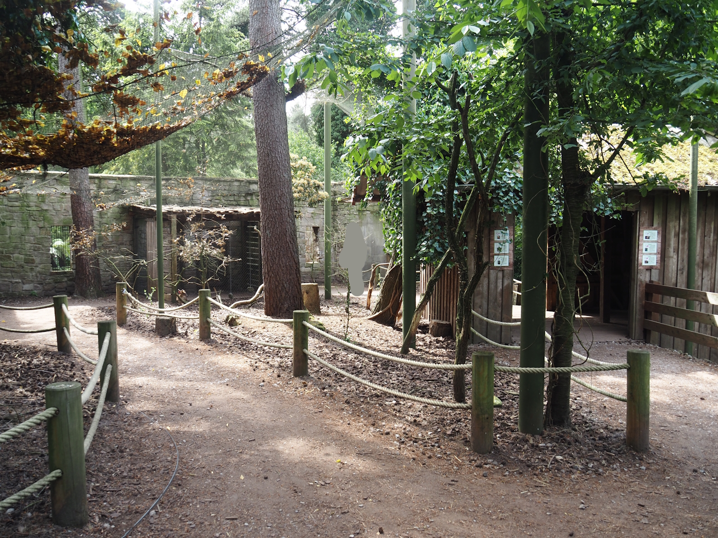 Uhu-Burg - Walk-through aviary, 2024-05-21