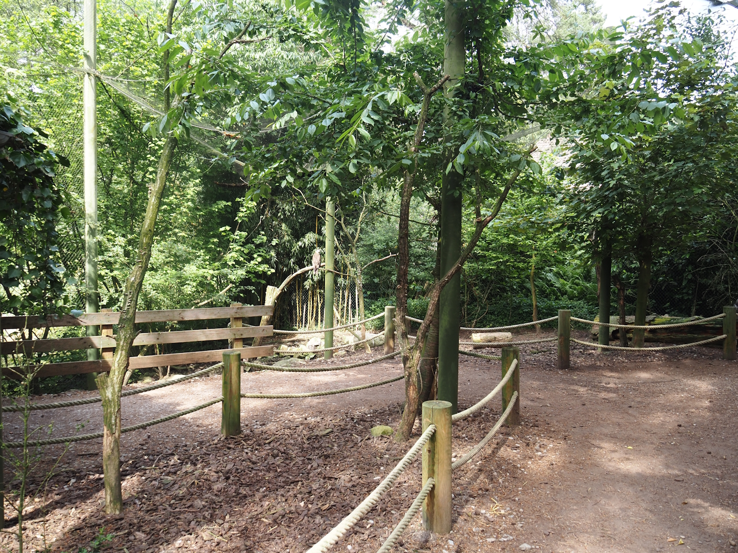 Uhu-Burg - Walk-through aviary, 2024-05-21