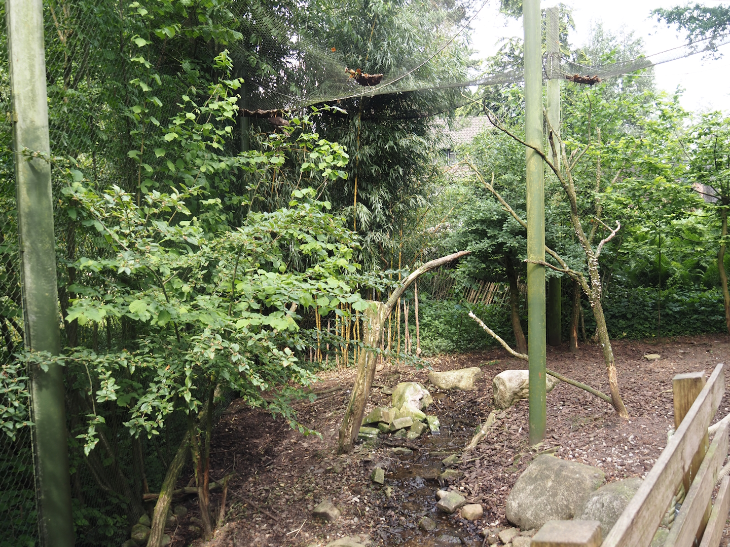 Uhu-Burg - Walk-through aviary, 2024-05-21