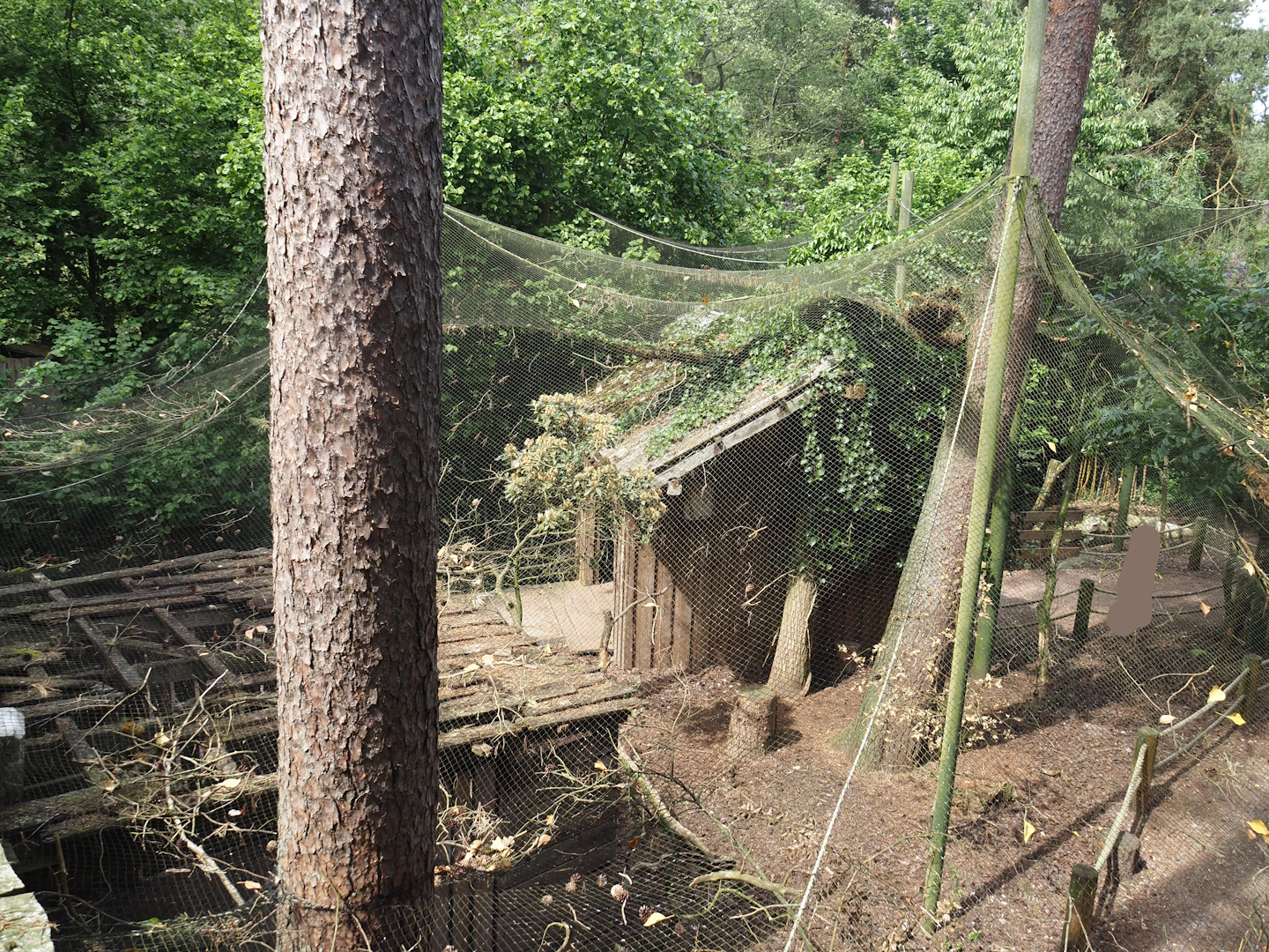 Uhu-Burg - Walk-through aviary seen from upper level, 2024-05-21