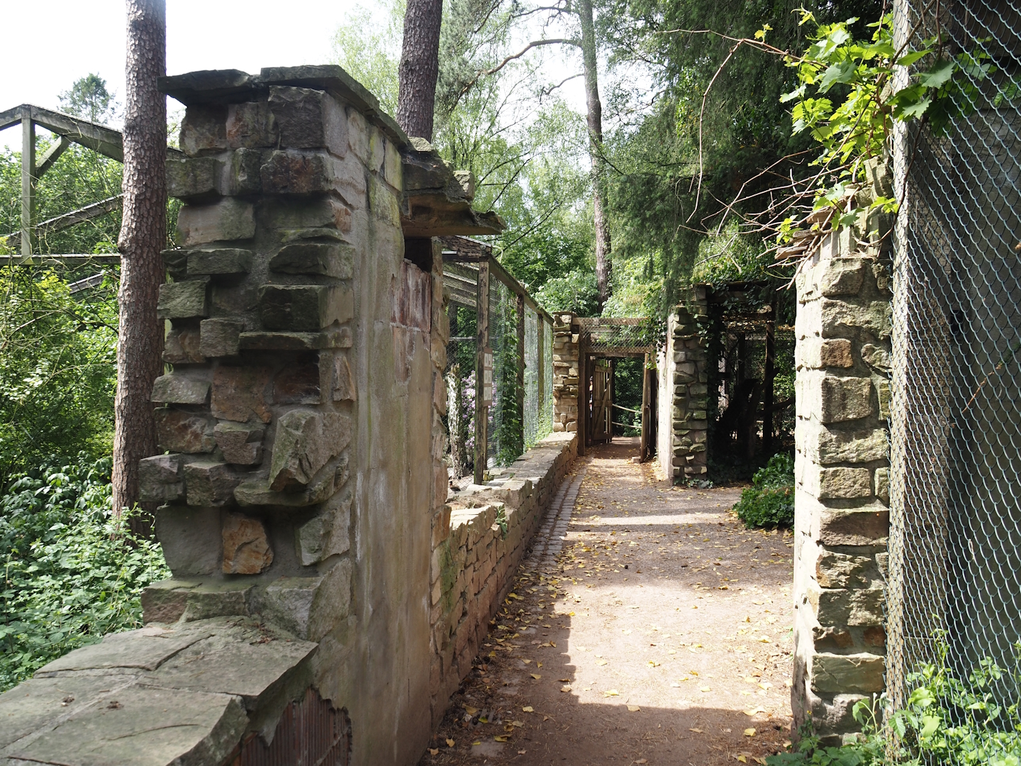 Uhu-Burg - Walkway, 2024-05-21