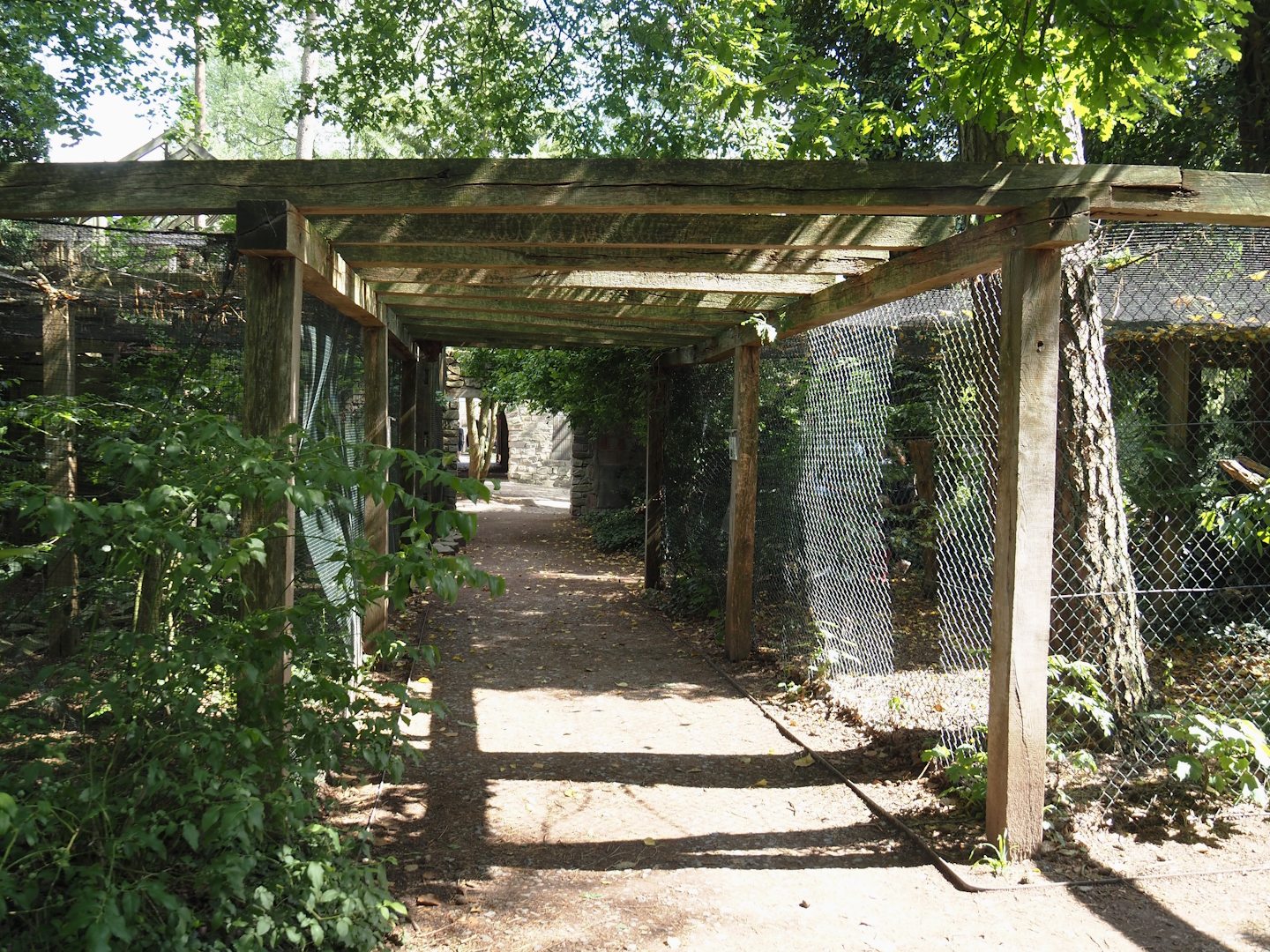 Uhu-Burg - Walkway between owl aviaries, 2024-05-23