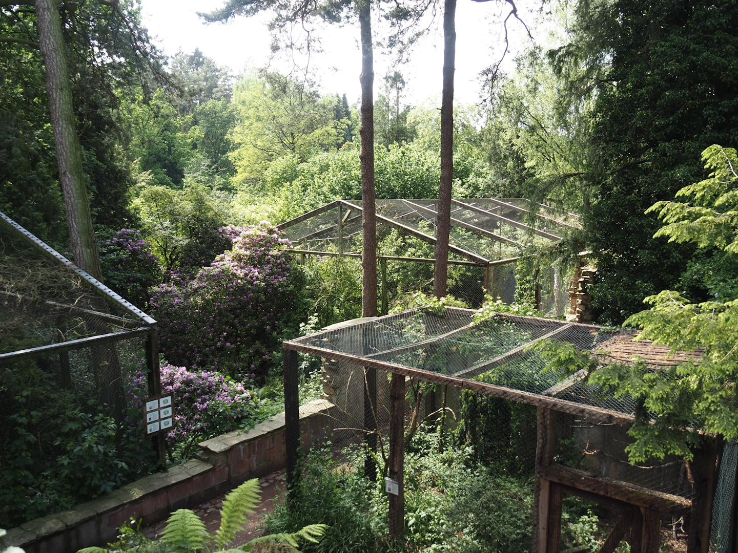 Uhu-Burg - Wetland aviaries and owl aviary seen from the upper level, 2024-05-21