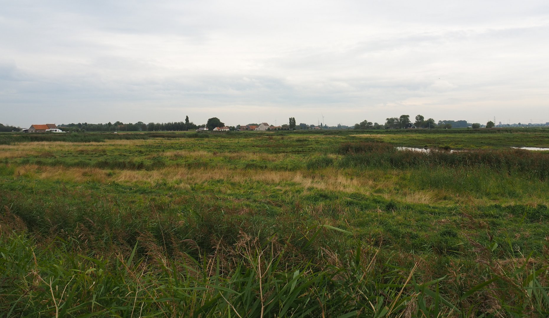 Uitkerkse Polder, 2021-09-14