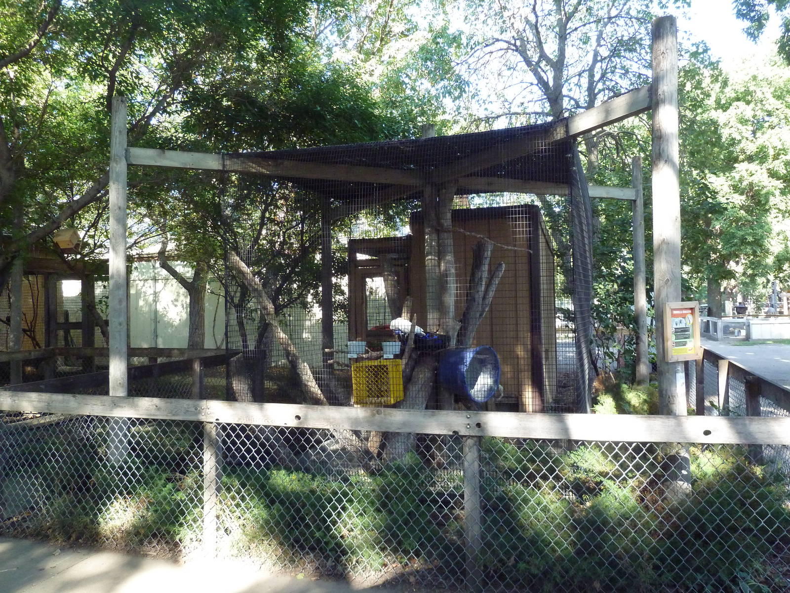 Umbrella Cockatoo Exhibit