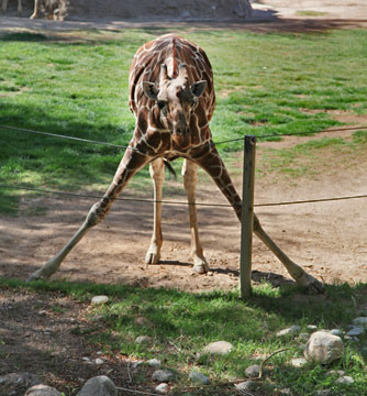 umm...where do I go now?