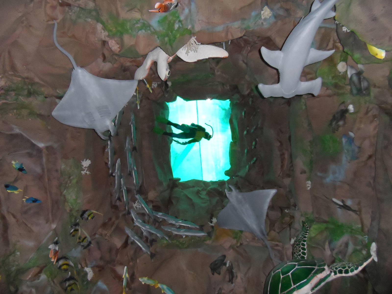 UMS Aquarium and Marine Museum