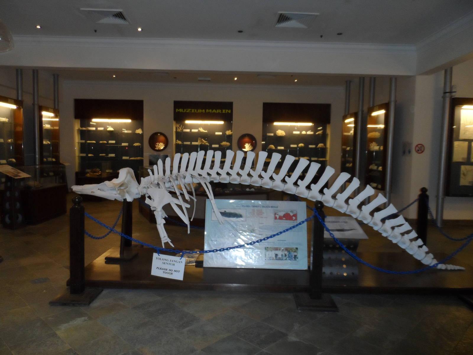 UMS Aquarium and Marine Museum