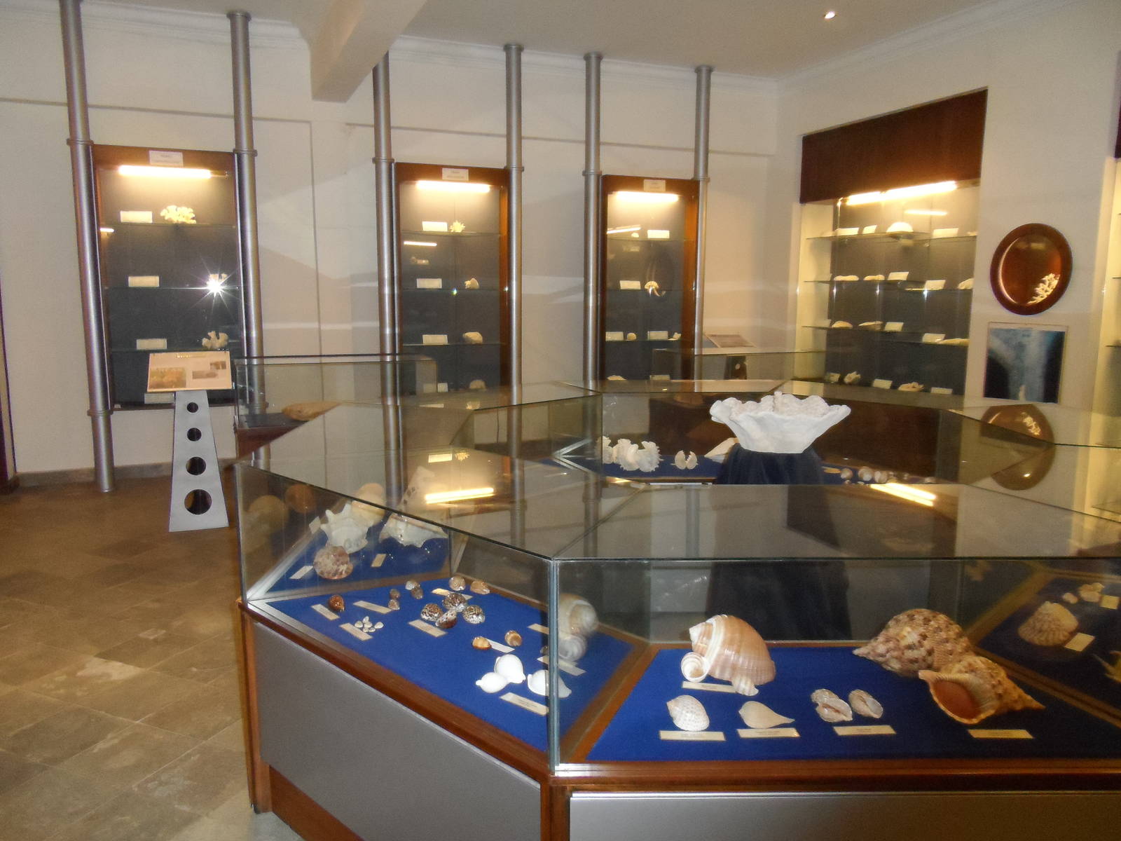 UMS Aquarium and Marine Museum