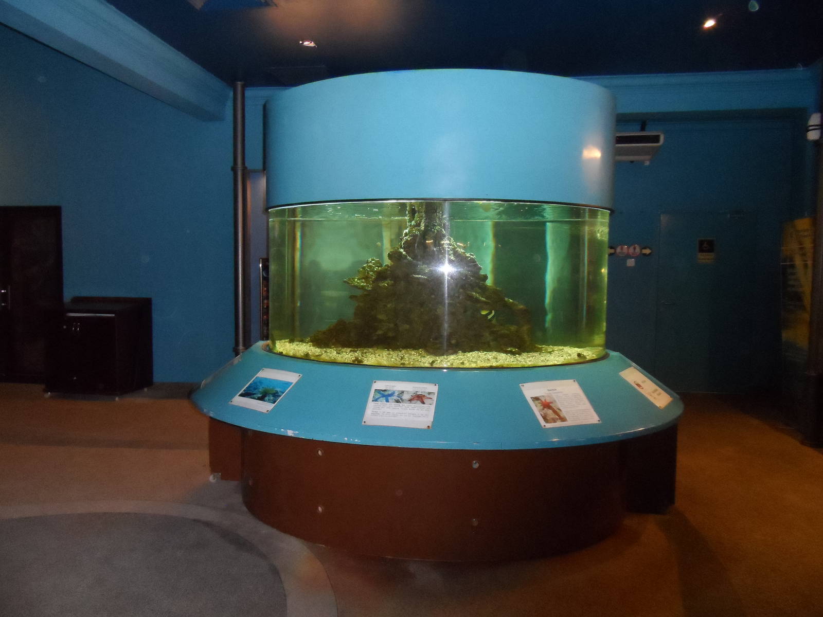 UMS Aquarium and Marine Museum