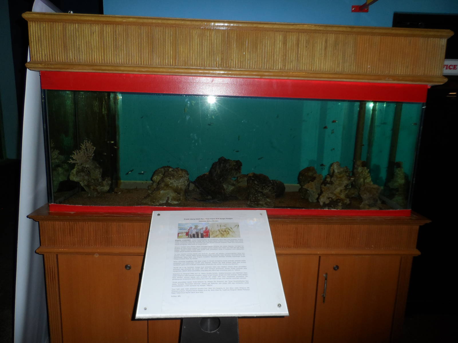 UMS Aquarium and Marine Museum