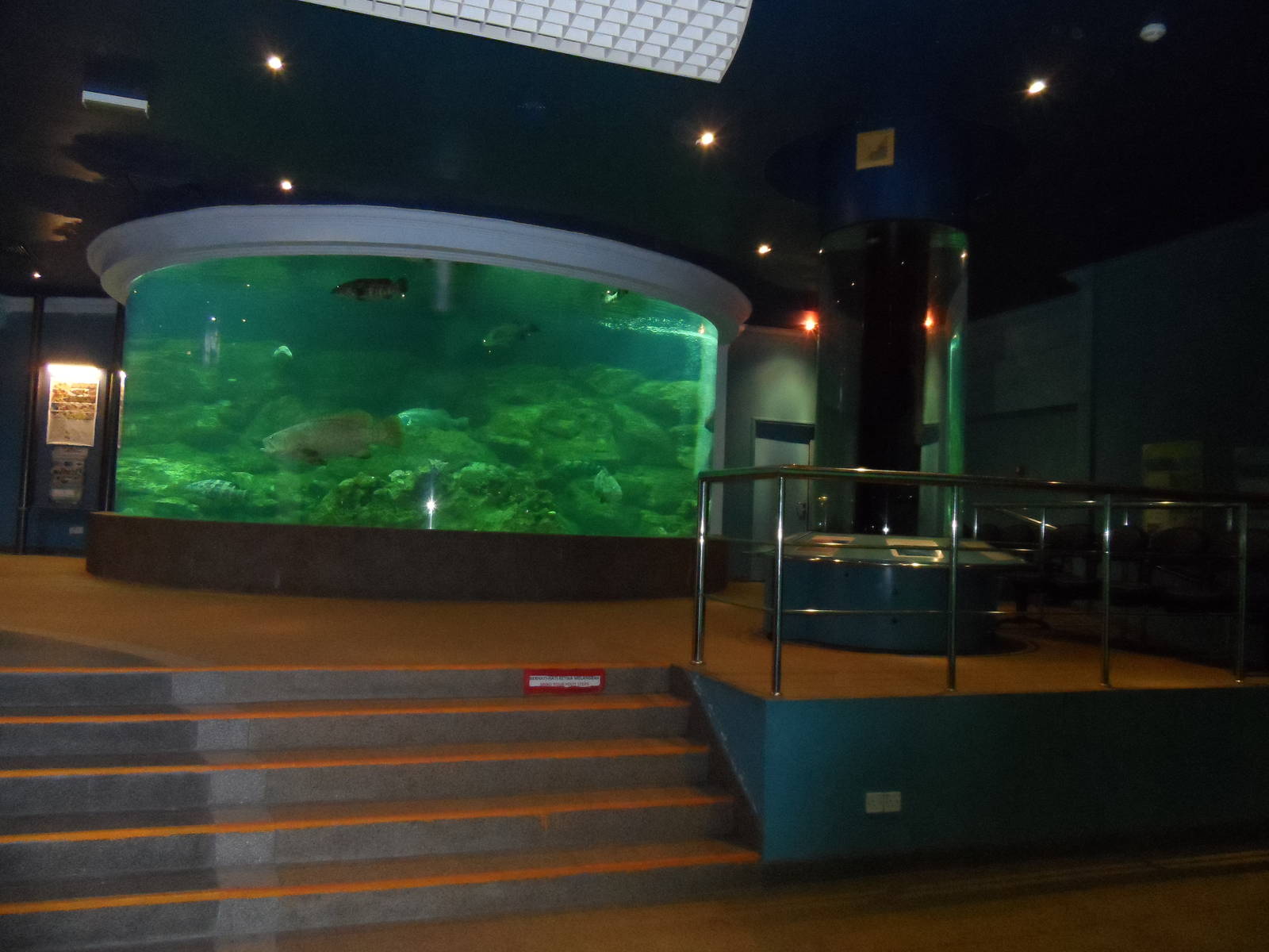 UMS Aquarium and Marine Museum