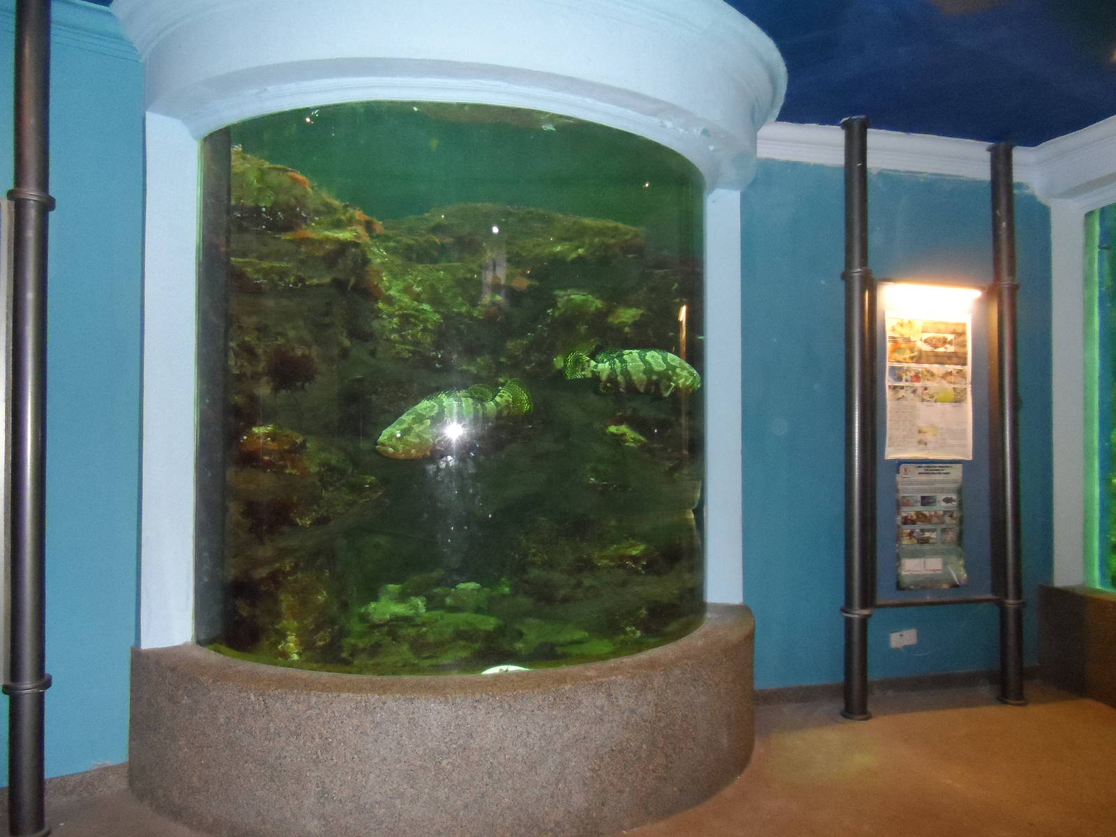 UMS Aquarium and Marine Museum