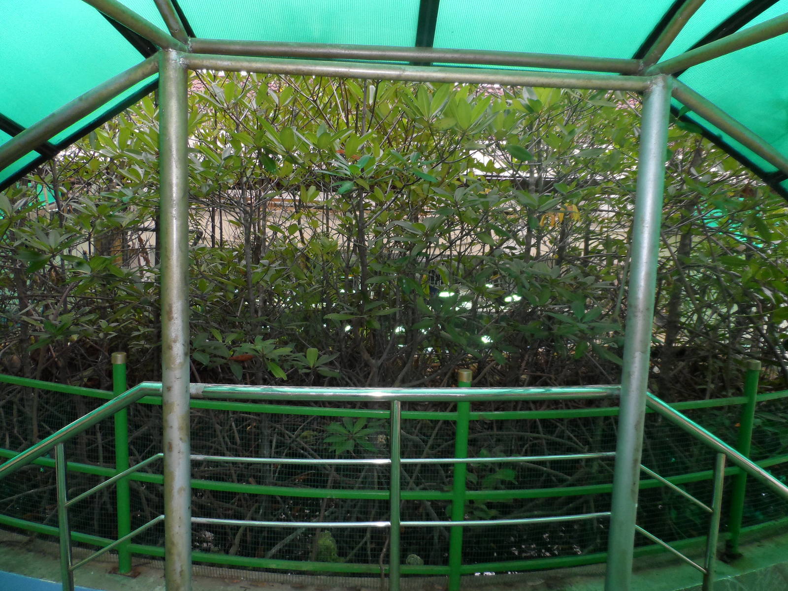 UMS Aquarium and Marine Museum