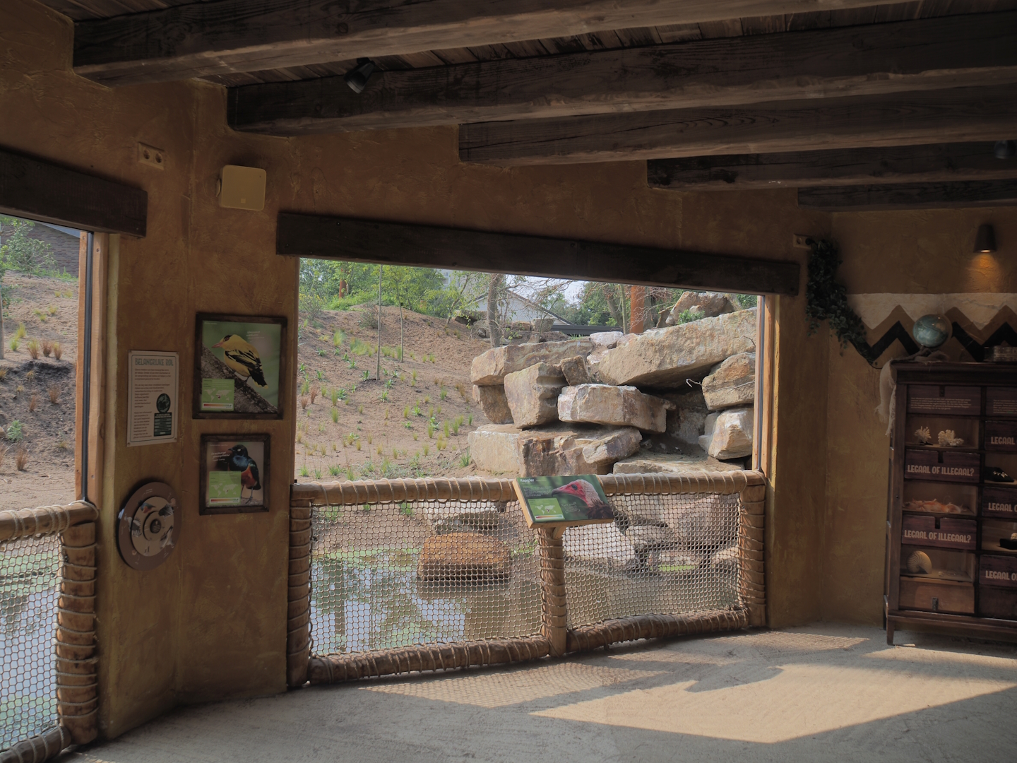 Umvikeli - New aviary for vultures, secretary birds and other African birds - Aviary and viewing area, 2025-06-09