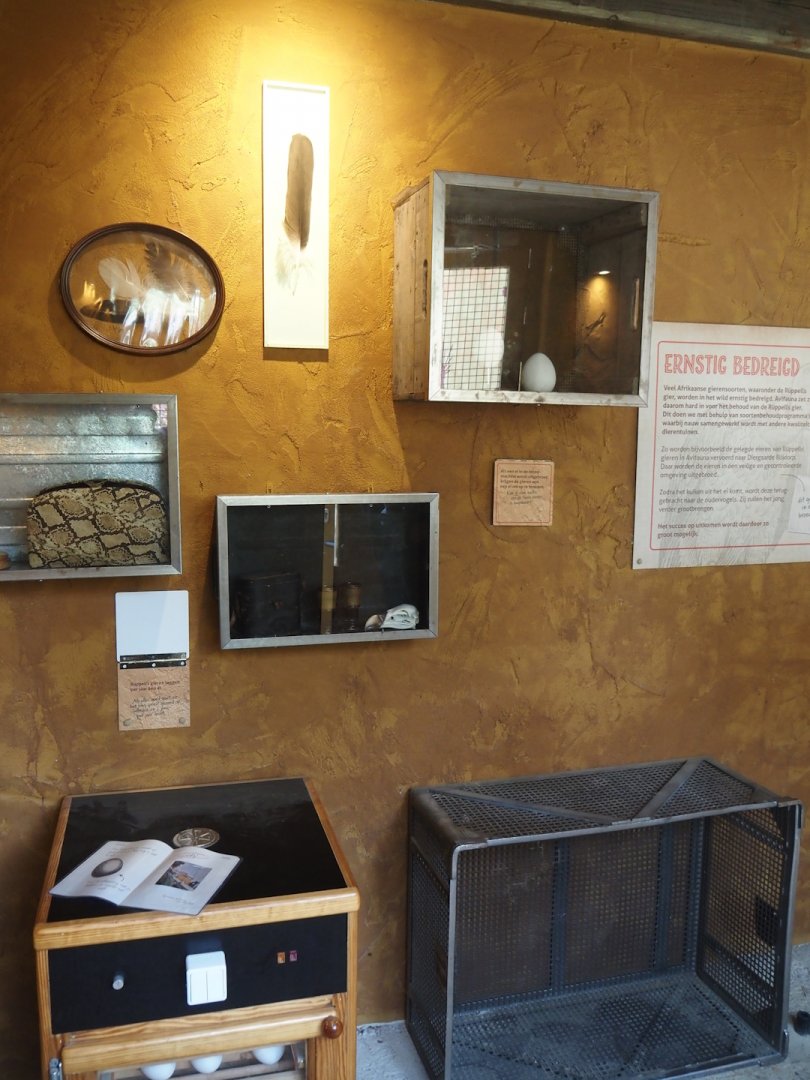 Umvikeli - New aviary for vultures, secretary birds and other African birds - Conservation projects materials in entrance area, 2025-06-09