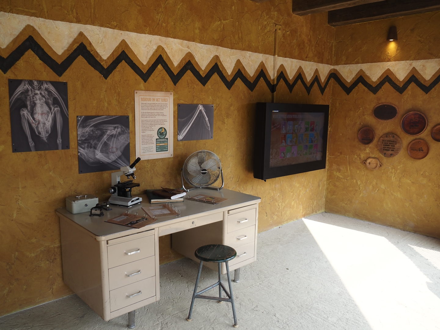 Umvikeli - New aviary for vultures, secretary birds and other African birds - Conservation research display, 2025-06-09