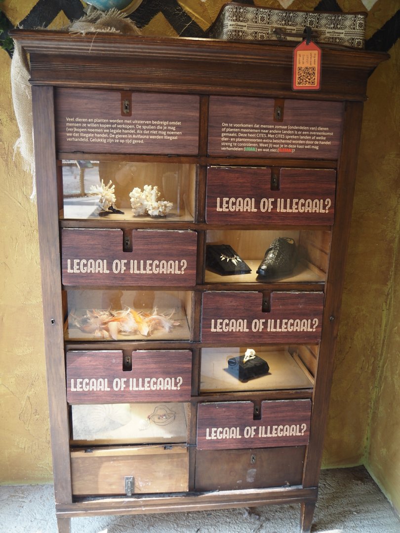 Umvikeli - New aviary for vultures, secretary birds and other African birds - Display of different legal and illegal to trade materials, 2025-06-09