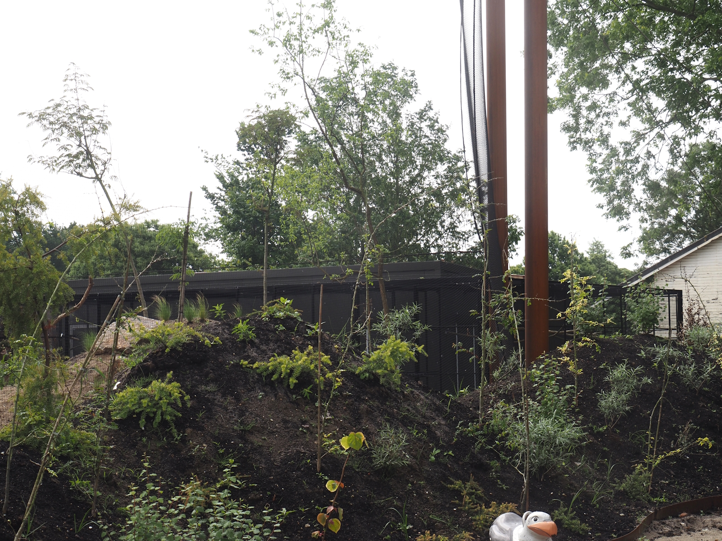 Umvikeli - New aviary for vultures, secretary birds and other African birds - Holding building, 2025-06-09