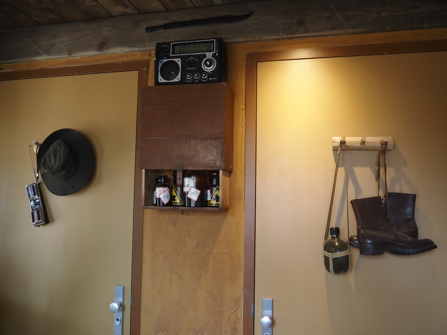 Umvikeli - New aviary for vultures, secretary birds and other African birds - Poisoning as a threat to vultures display, 2025-06-09