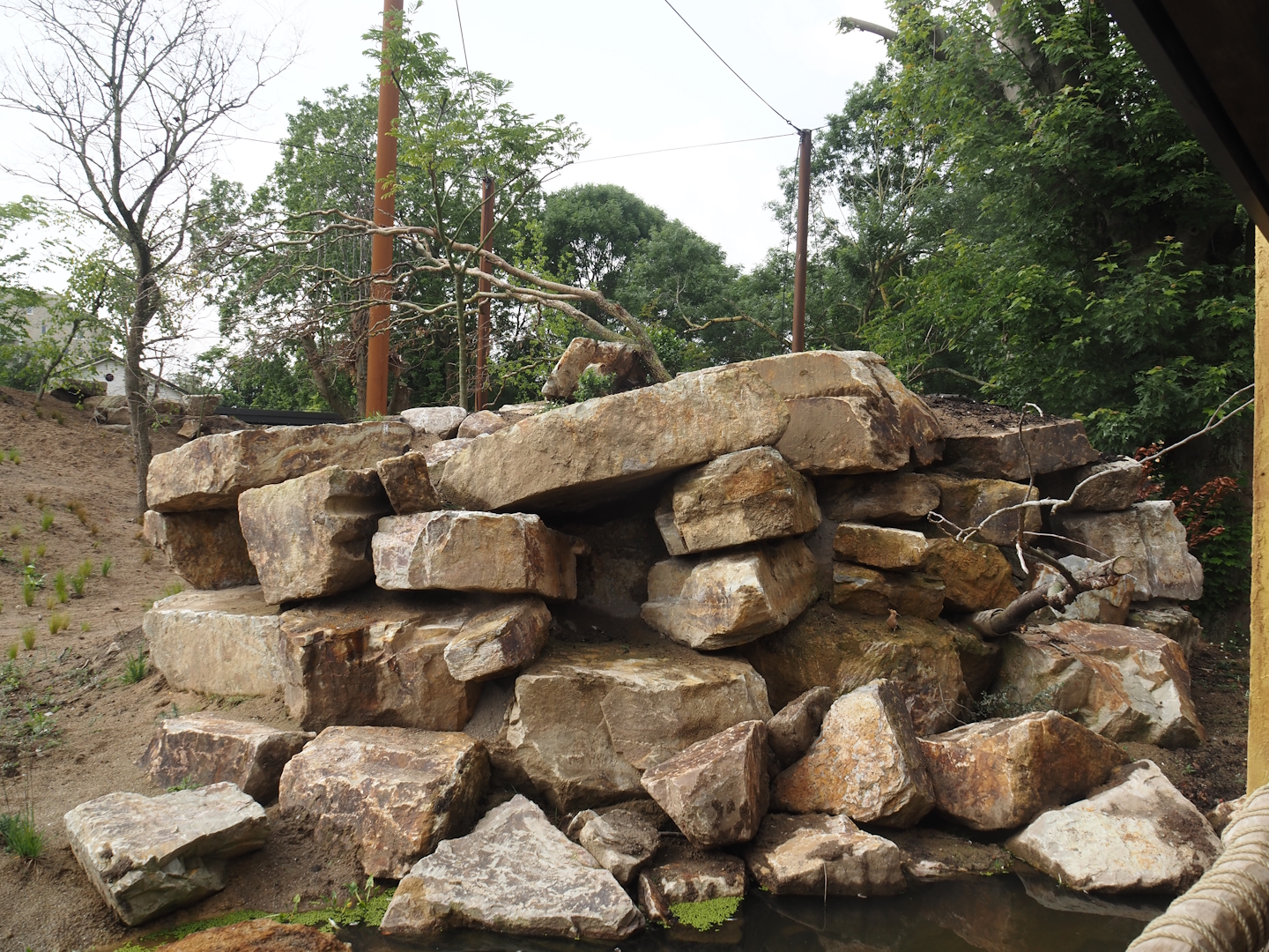 Umvikeli - New aviary for vultures, secretary birds and other African birds - Rocky outcropping, 2025-06-09