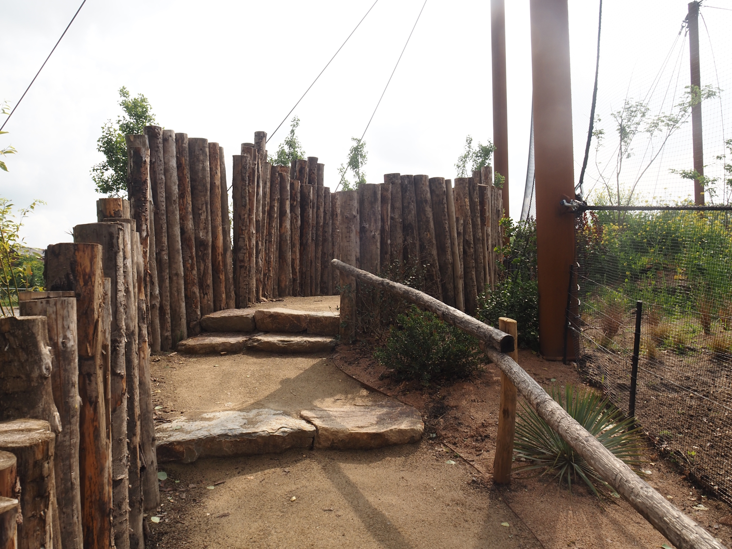 Umvikeli - New aviary for vultures, secretary birds and other African birds - Side viewing area, 2025-06-09