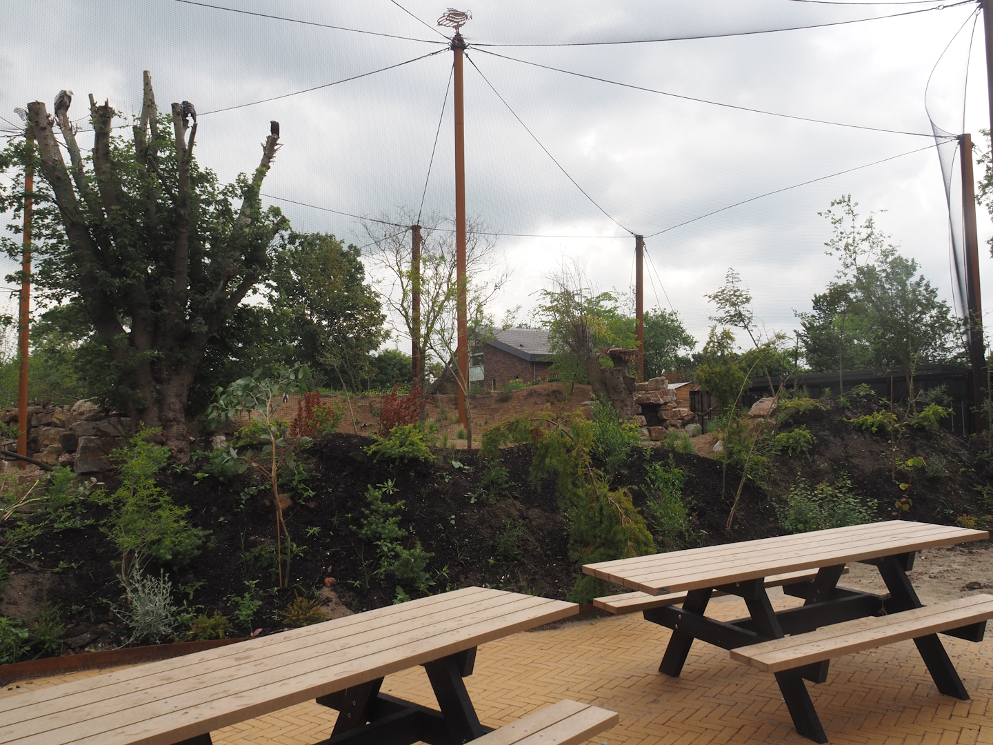 Umvikeli - New aviary for vultures, secretary birds and other African birds - View of aviary from outside, 2025-06-09