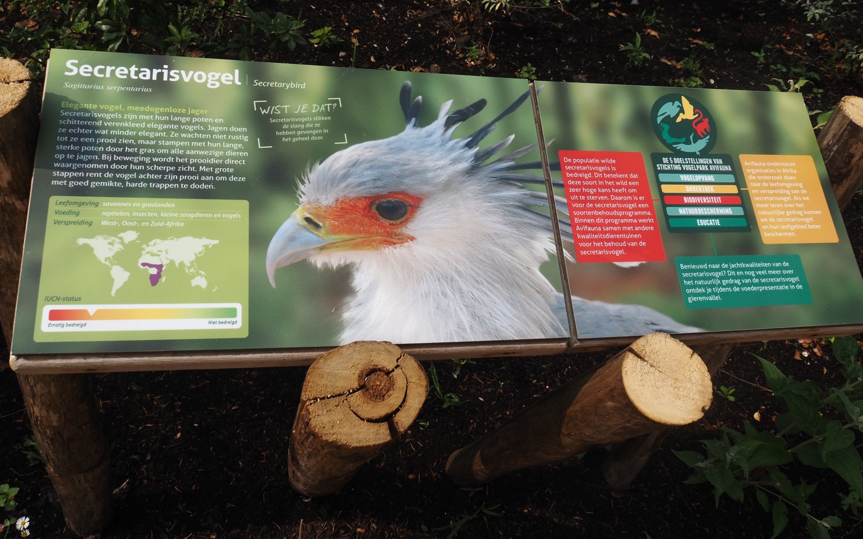 Umvikeli - Secretary bird signage, 2025-06-09